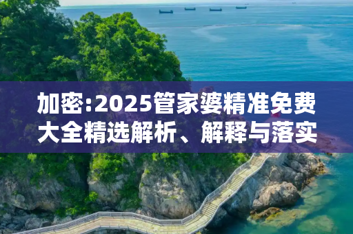 加密:2025管家婆精准免费大全精选解析、解释与落实