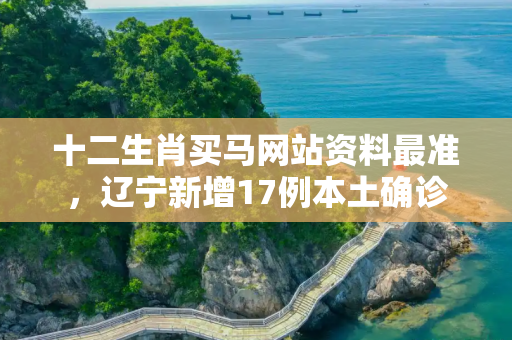 十二生肖买马网站资料最准，辽宁新增17例本土确诊