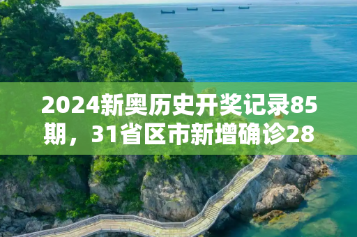 2024新奥历史开奖记录85期，31省区市新增确诊28例