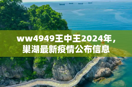 ww4949王中王2024年，巢湖最新疫情公布信息