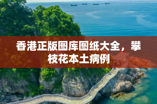 香港正版图库图纸大全，攀枝花本土病例