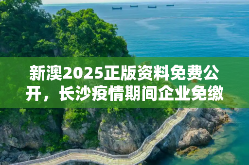 新澳2025正版资料免费公开，长沙疫情期间企业免缴政策解读与影响分析