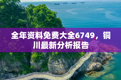 全年资料免费大全6749，铜川最新分析报告
