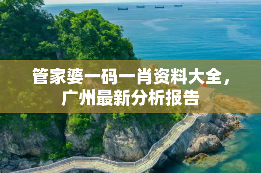管家婆一码一肖资料大全，广州最新分析报告