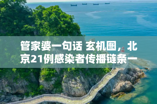 管家婆一句话 玄机图，北京21例感染者传播链条一图读懂