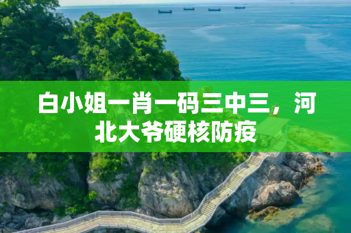 白小姐一肖一码三中三，河北大爷硬核防疫