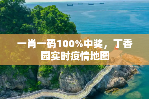 一肖一码100%中奖，丁香园实时疫情地图