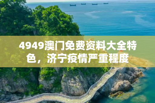 4949澳门免费资料大全特色，济宁疫情严重程度