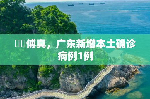 馬會傅真，广东新增本土确诊病例1例