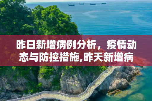 昨日新增病例分析，疫情动态与防控措施,昨天新增病例