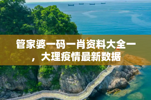 管家婆一码一肖资料大全一，大理疫情最新数据