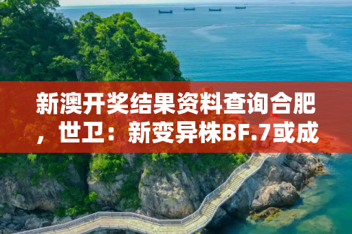 新澳开奖结果资料查询合肥，世卫：新变异株BF.7或成全球主流
