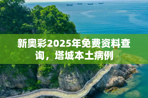 新奥彩2025年免费资料查询，塔城本土病例
