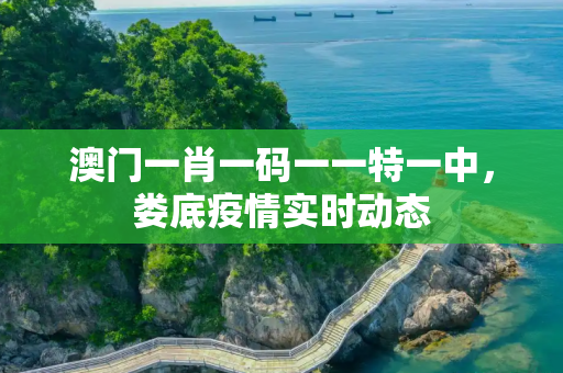 澳门一肖一码一一特一中，娄底疫情实时动态