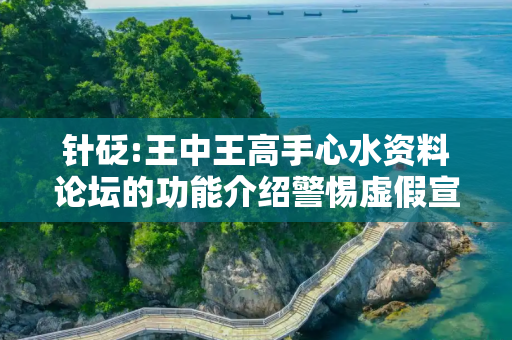 针砭:王中王高手心水资料论坛的功能介绍警惕虚假宣传、全面解答与解释