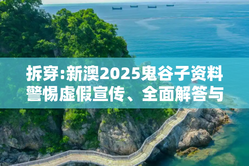 拆穿:新澳2025鬼谷子资料警惕虚假宣传、全面解答与解释