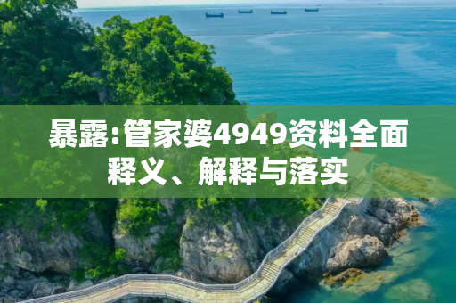 暴露:管家婆4949资料全面释义、解释与落实