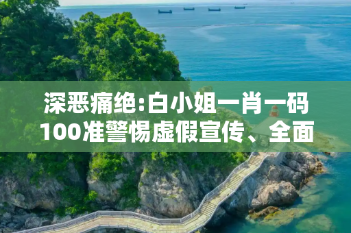 深恶痛绝:白小姐一肖一码100准警惕虚假宣传、全面解答与解释