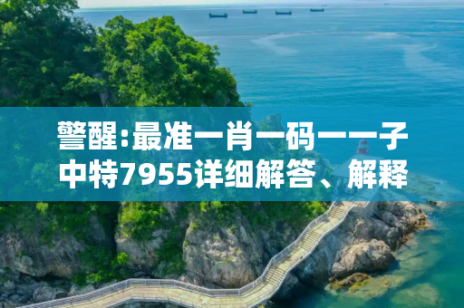 警醒:最准一肖一码一一子中特7955详细解答、解释与落实