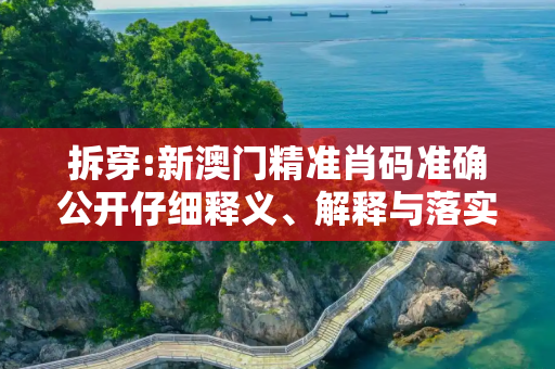 拆穿:新澳门精准肖码准确公开仔细释义、解释与落实