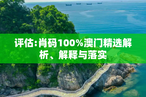 评估:肖码100%澳门精选解析、解释与落实