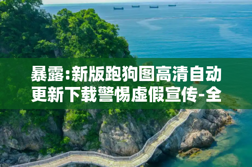 暴露:新版跑狗图高清自动更新下载警惕虚假宣传-全面释义