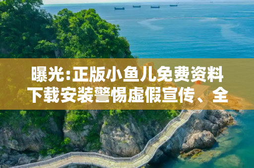 曝光:正版小鱼儿免费资料下载安装警惕虚假宣传、全面解答与解释