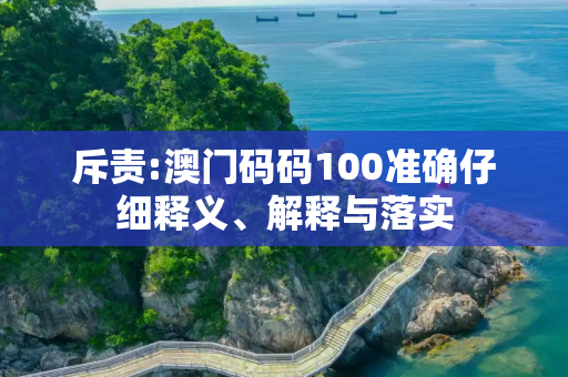 斥责:澳门码码100准确仔细释义、解释与落实