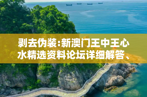 剥去伪装:新澳门王中王心水精选资料论坛详细解答、解释与落实