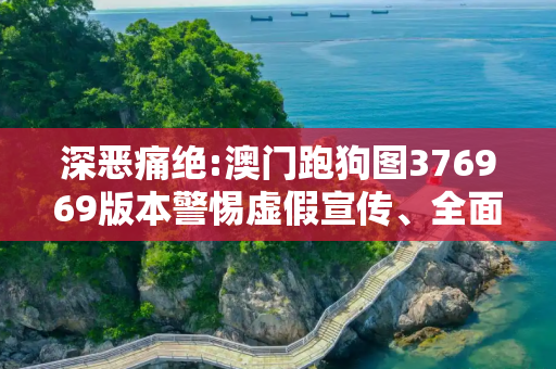 深恶痛绝:澳门跑狗图376969版本警惕虚假宣传、全面解答与解释