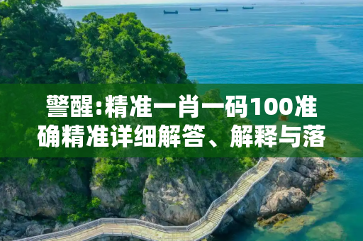 警醒:精准一肖一码100准确精准详细解答、解释与落实