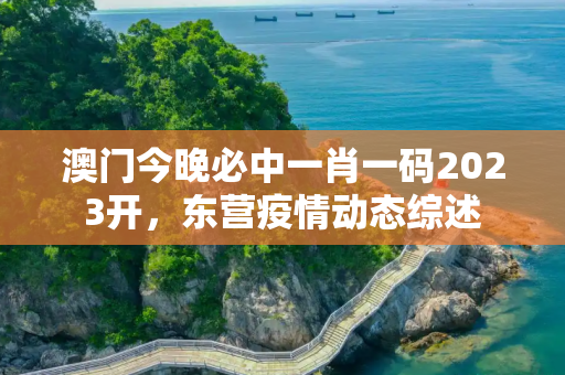 澳门今晚必中一肖一码2023开，东营疫情动态综述