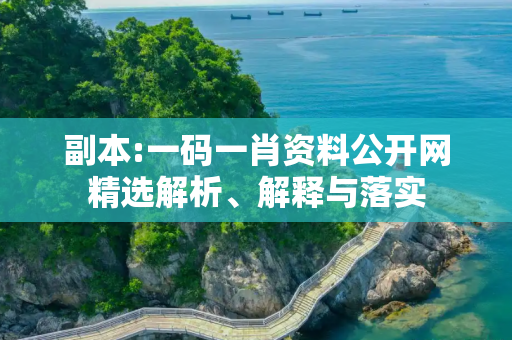 副本:一码一肖资料公开网精选解析、解释与落实