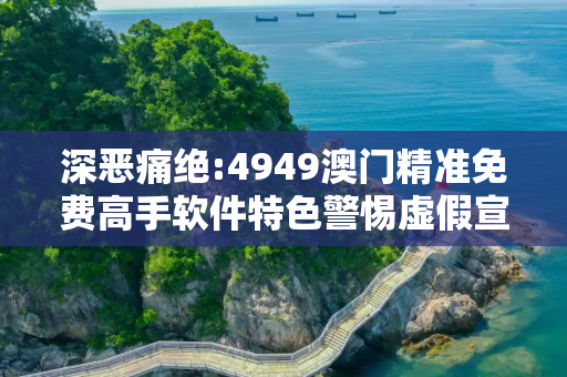 深恶痛绝:4949澳门精准免费高手软件特色警惕虚假宣传、全面解答
