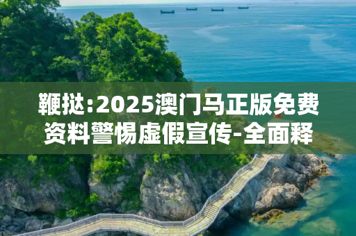 鞭挞:2025澳门马正版免费资料警惕虚假宣传-全面释义、解释与落实