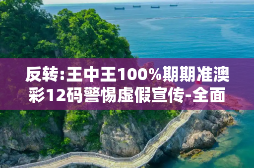 反转:王中王100%期期准澳彩12码警惕虚假宣传-全面释义