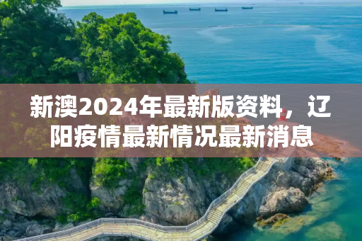 新澳2024年最新版资料，辽阳疫情最新情况最新消息