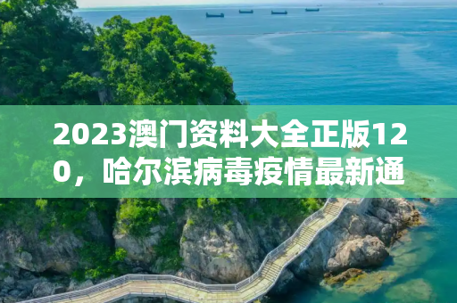 2023澳门资料大全正版120，哈尔滨病毒疫情最新通报