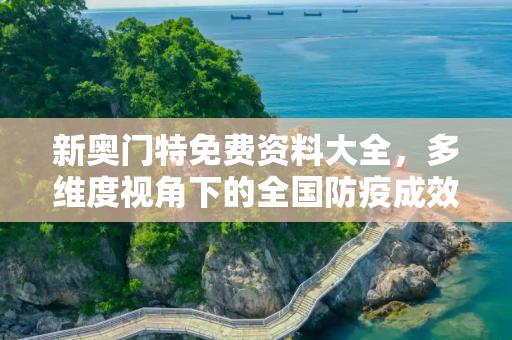 新奥门特免费资料大全，多维度视角下的全国防疫成效与挑战