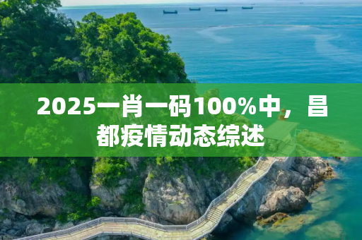 2025一肖一码100%中，昌都疫情动态综述